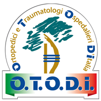 LOGO-MEDIO_OTODI